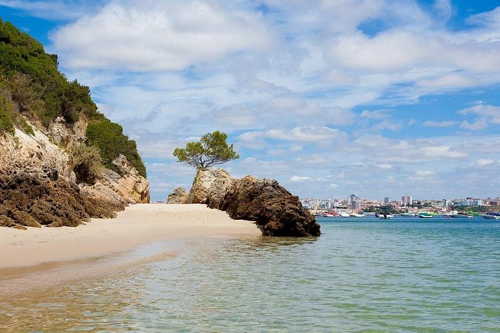 Arrabida Private Full Day Wine Excursion