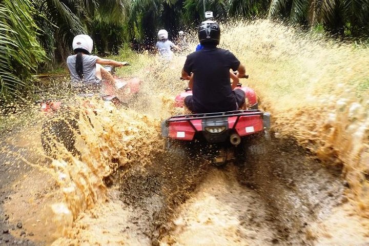 ATV & Canopy Tour From Flamingo Beach