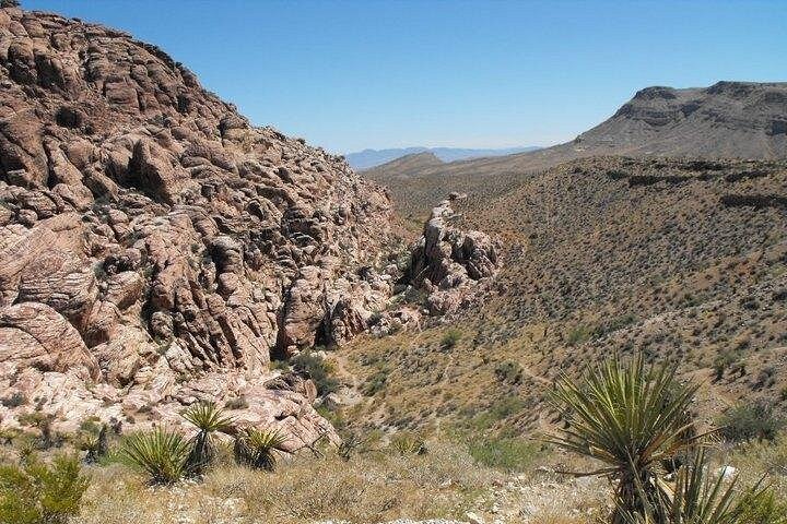 Guided Mountain Bike Tour of Mustang Trail in Red Rock Canyon