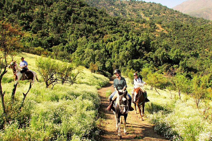 Private Horseback Adventure in the Andes, with Picnic & Wine
