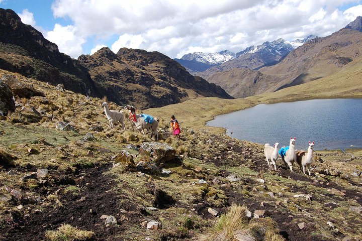 4 Day - Lares Trek to Machu Picchu - Group Service