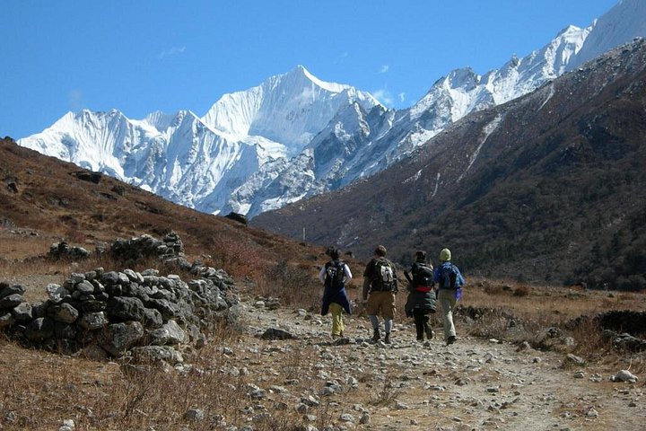 8 Days Langtang Valley Treks