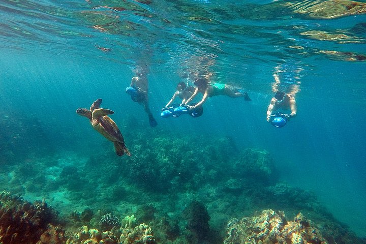 Sea Scooter Snorkeling Tour with Photo and Video - Wailea Beach