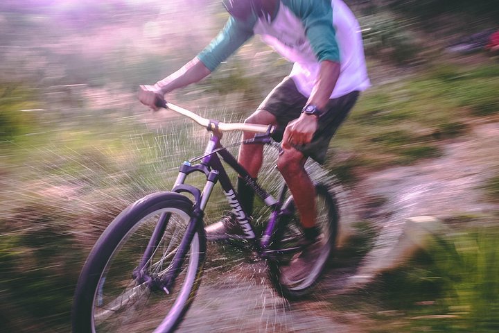 Full Day Private Cycling Cape of Good Hope