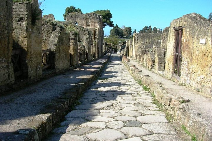Private full day tour Herculaneum ruins Mt Vesuvio and Winery