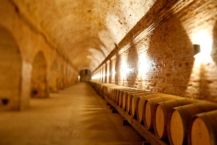 Traditional Wine Tour in Viña Cousiño Macul Official English