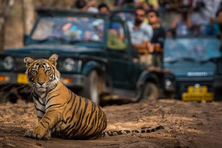 Golden Triangle Tour with Ranthambore (5 Star Hotel)