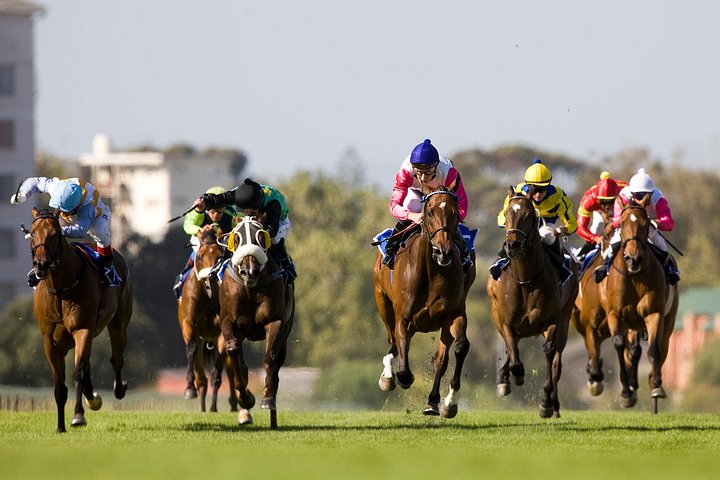 Kenilworth Raceday Tour