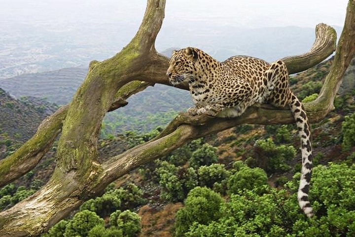 Day Tour in Arusha National Park