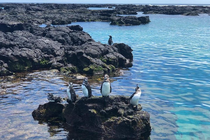 Best of Galápagos | 7-Day Island Hopping Tour