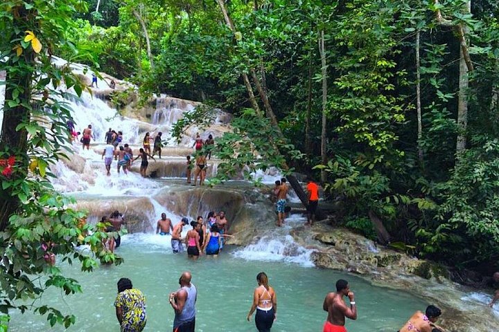 Dunns River Falls Private Tour with Transportation + Ticket