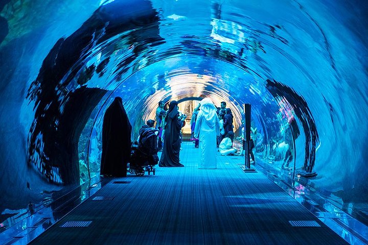 Dubai Mall Aquarium & Underwater Zoo com bilhetes para Penguin Cove