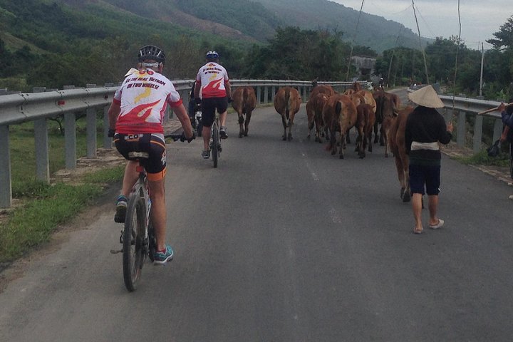Saigon-Dalat-Muine Cycle Tour