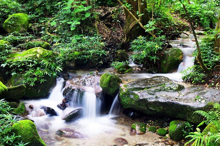 Hiking experience from Shivapuri to Nagi Gumba to Baghdwar