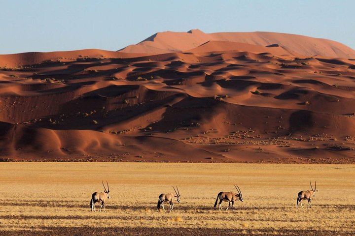 06 Days Namibia Desert | Kalahari-Sossusvlei-Spitzkoppen