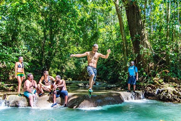Private Mayfield Falls Waterfalls Tour [Vervoer]