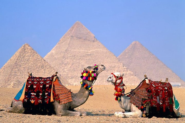 8-Day Private Tour Cairo, Aswan, Luxor and Nile Cruise Including Air Fare