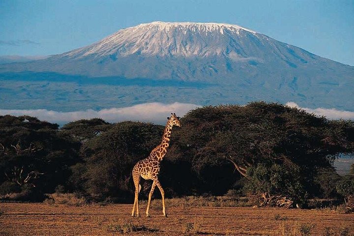 6 days Marangu RouteMount Kilimanjaro Trekking