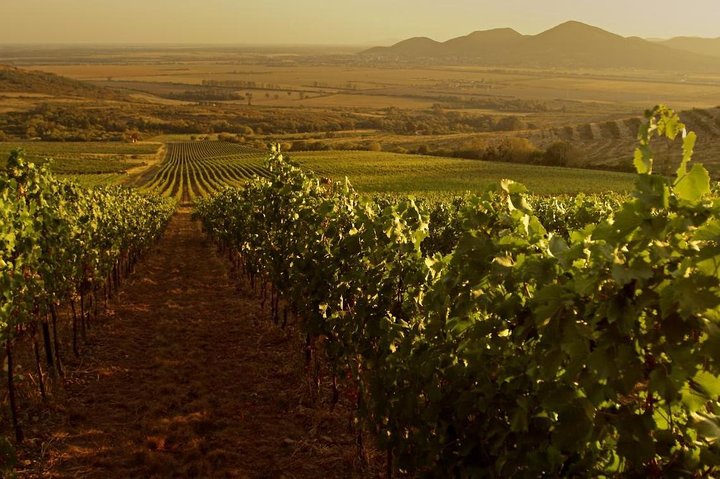 Grand vinsmagningstur i Eger og Tokaj