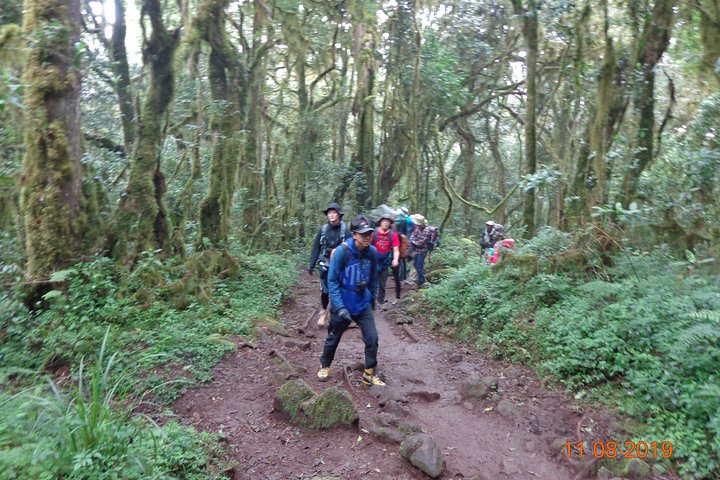 Kilimanjaro Day Fottur