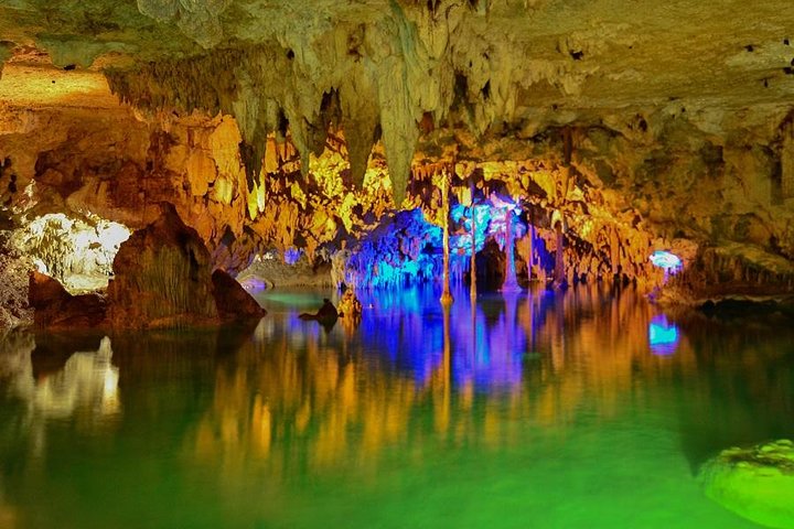 Tortugas y Cenote de Riviera Maya