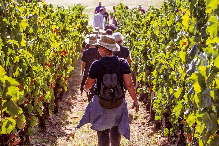 Athens Wine Tour - An Outstanding Full Day Experience For Dedicated Winelovers
