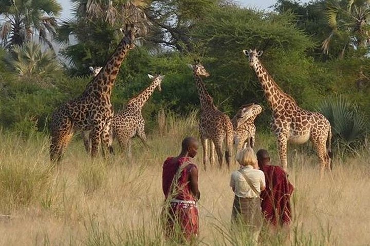 3 Days Private Masai Mara National Reserve Safari