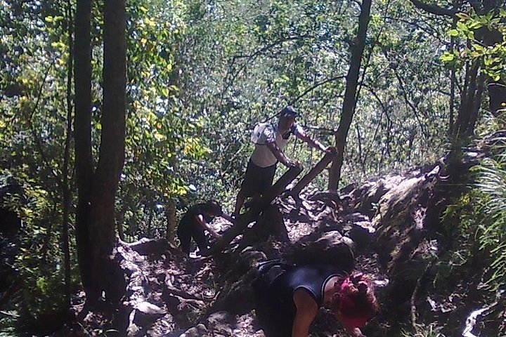 Skeleton Gorge to Maclears Beacon. Table Mountain hike