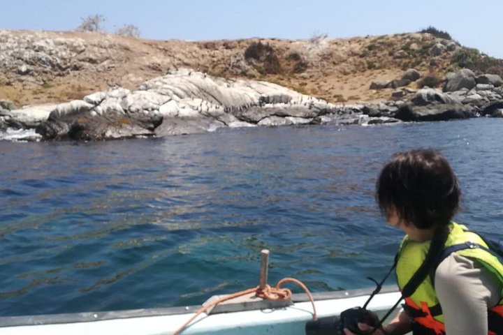 Zapallar : nature, sea and local flavours