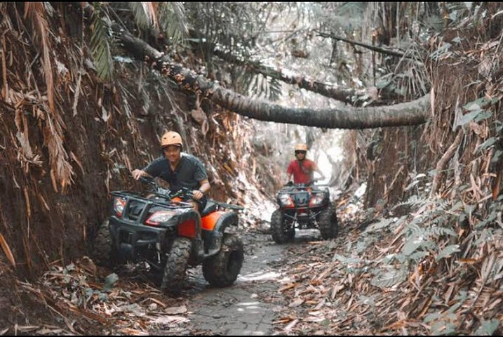 Bali Wild Jungle Expedition: Jungle Hopper & Quad ATV Adventure