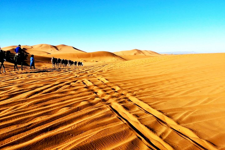Morocco Sahara Desert Tour With a Local