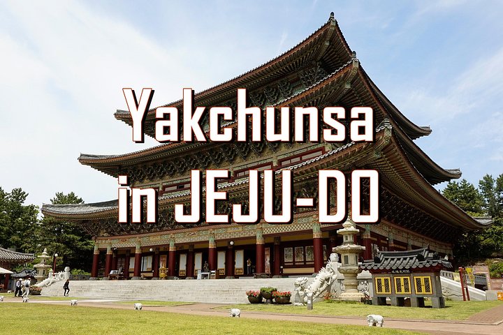 [Jeju Island] Customizable Private Taxi Tour