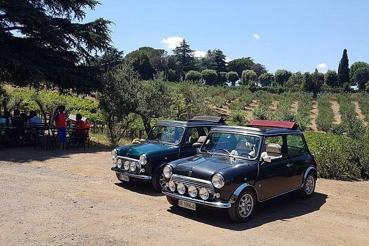Best Winery Tour in Mini Cooper Classic Cabrio wine testing&lunch