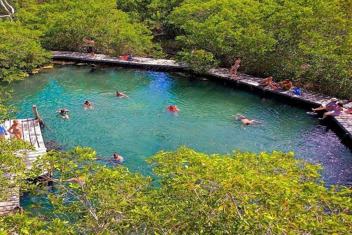 Holbox and Isla Pasión Day Trip with Cenote from Riviera Maya