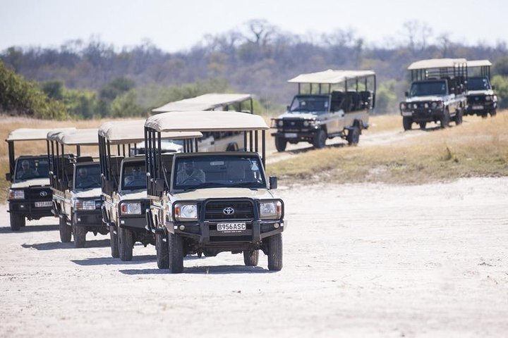 2 Days 2 Nights Camping Safari in Chobe National Park