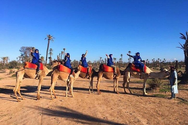 Camel Ride in Marrakech's Palm Groves: Unique Desert Experience