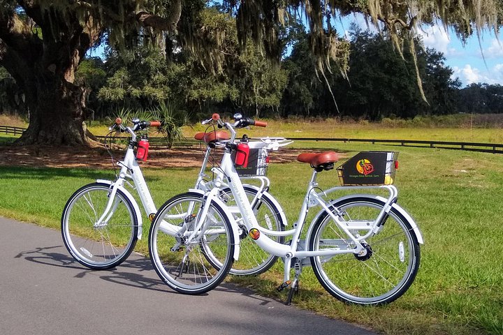 Village Bicycle Rental Free Delivery in The Villages Florida