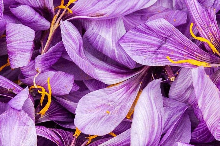 Saffron on the roofs of Paris