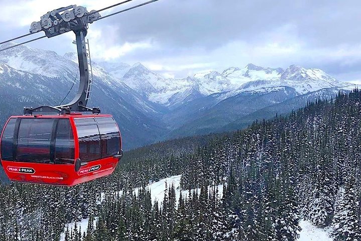 Whistler Sightseeing Tour from Vancouver: See Horseshoe Bay and Shannon Falls