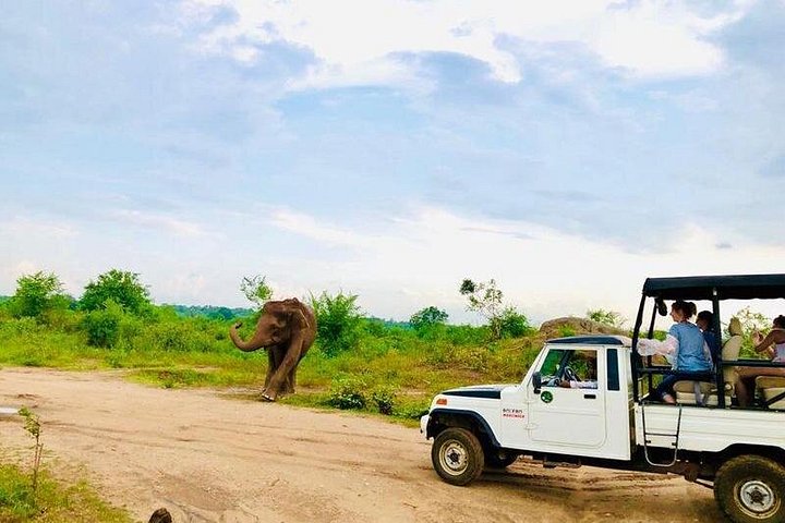 Private Udawalawe Nationalpark Jeep-Safari