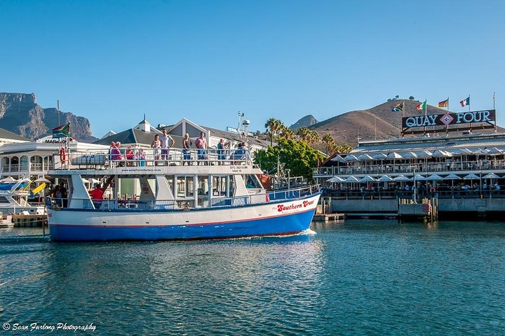 Half Hour Seal and Harbour Cruise from Cape Town