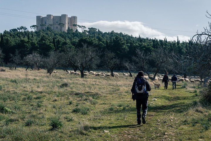 Castel del Monte: excursion in the Alta Murgia National Park