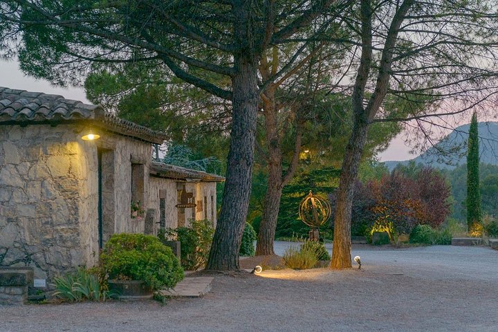 Half Day Private Wine & Oil Tasting Tour near Barcelona with hotel pick up