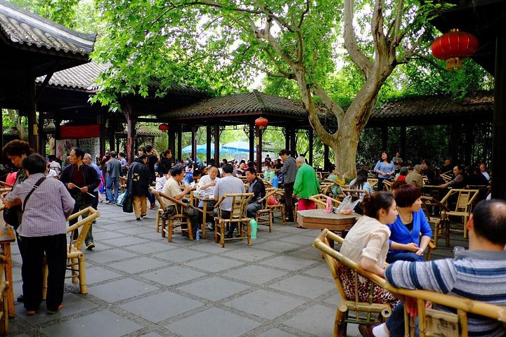 Chengdu Panda Tour and local Culture Experience