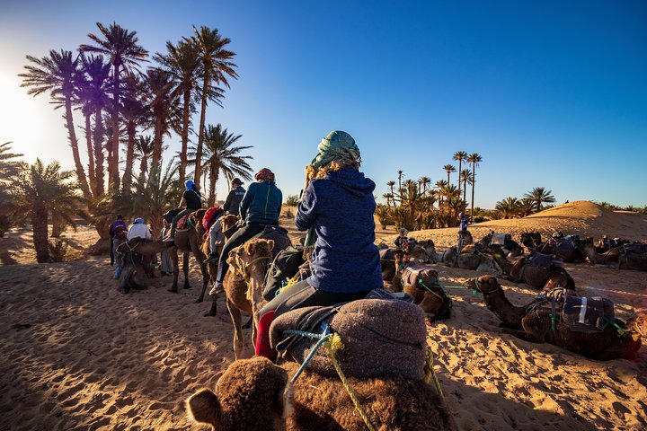 Luxury 7 Days From Tanger to Merrakech