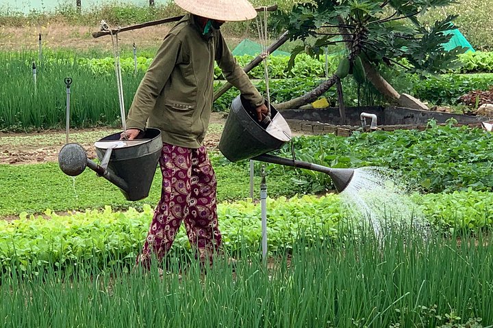 Full Experience Tour: Cooking Class & Basket Boat at Eco-Village