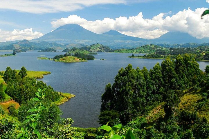 Safari to Kibaale Forest, Queen Elizabeth and Lake Mburo National Parks