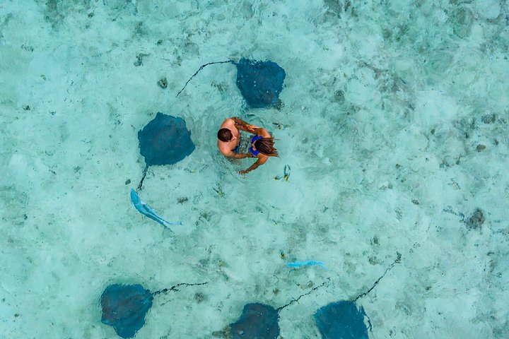 Bora Bora 4WD Tour & Eco Shark & Ray Snorkel Cruise