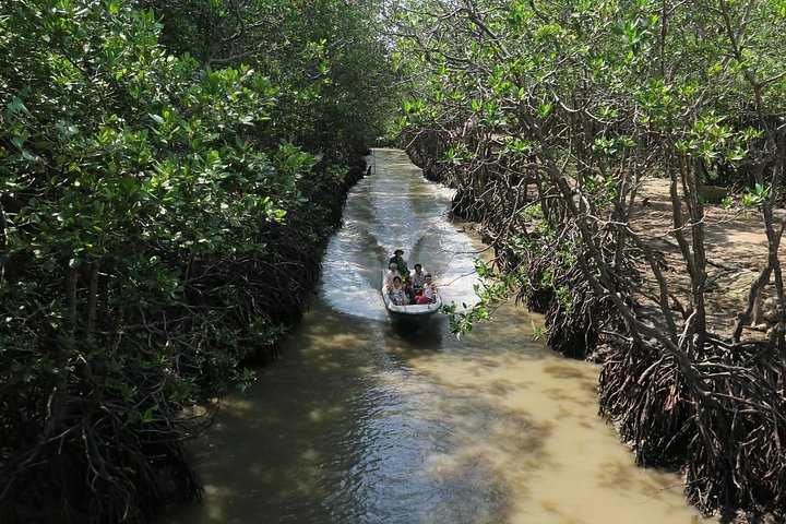 Can Gio Mangrove Biosphere Reserve 1 day