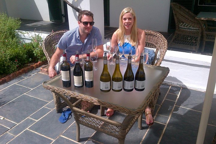 Excursão privada de meio dia: Cape Winelands, Stellenbosch da Cidade do Cabo